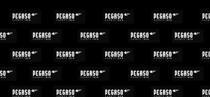 Pegaso fabricante gafas y pantallas seguridad proveedor | Janfer Pegaso fabricante gafas y pantallas seguridad proveedor Janfer