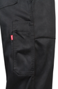 Peto 290