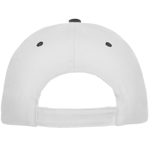 Gorra PANEL combinada