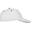 Gorra PANEL combinada