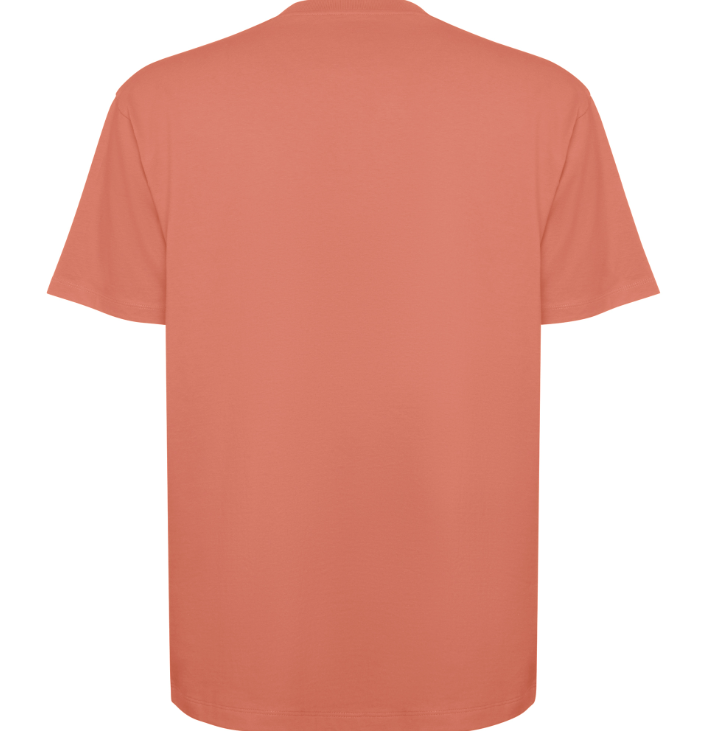 Camiseta oversize BULL 6560