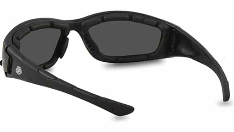 Gafas polarizadas F1