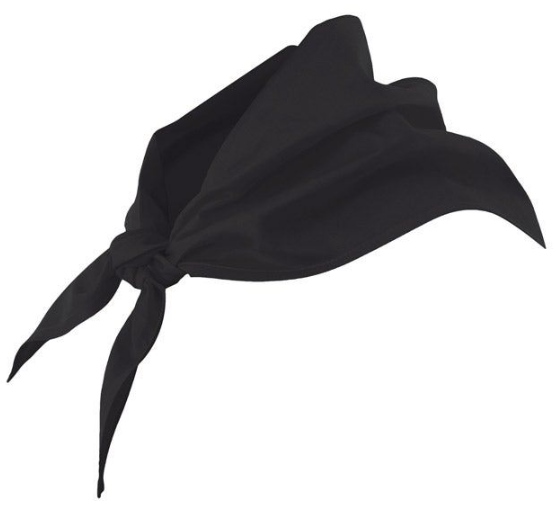 Pañuelo Triangular 404003