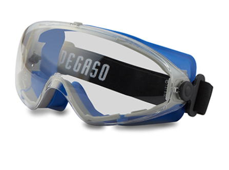 Gafas panorámicas incoloras EOS