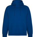 Sudadera capucha VINSON 